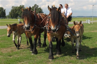 Riksutst&auml;llning Elmia 2013 (Minja till v&auml;nster)