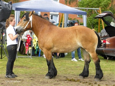 Mindy som 4-&aring;ring