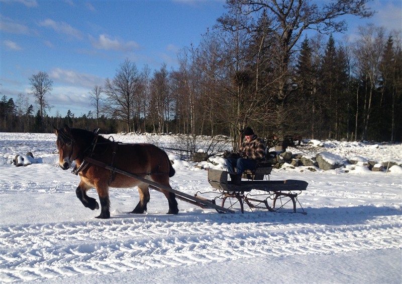 Bästa Cozaar Till Salu