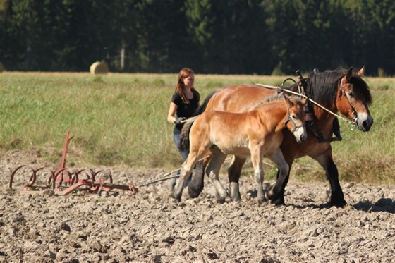 Jenny harvar med Majsan på Huseby Bruk