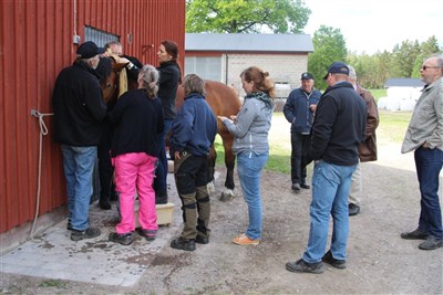 Fl&auml;tningskurs