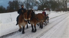 Maj drar släden på julafton