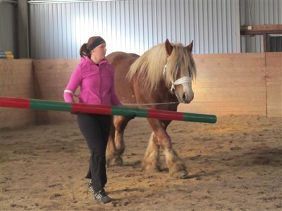 ardennerhingst pokal