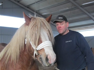 Alf Magnusson och ardennerhingsten Pokal tränar inför hingstpremieringen på Grevagården 2012