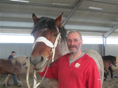 Hingsten Cavaljer och Christer