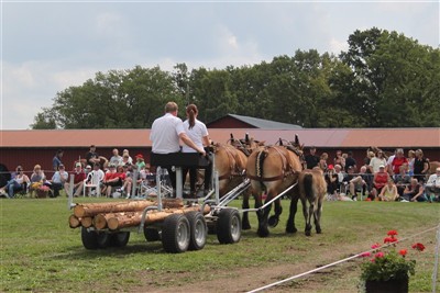 Parkörning