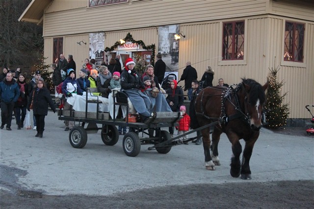 Hästskjuts på Tjolöholm