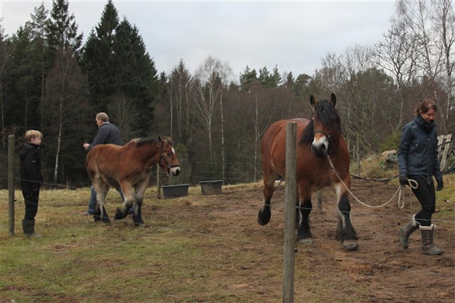 Mindy och Minja