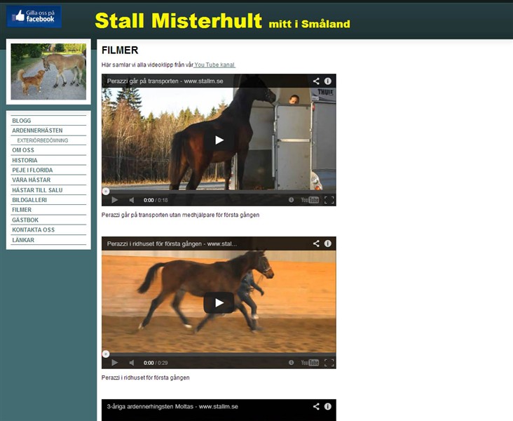 Ny kategori p&aring; hemsidan - FILMER