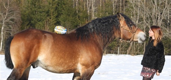 Moltas p&aring;sk