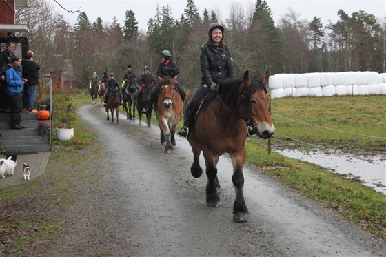 H&ouml;stritt med ardennerklubben Sydost
