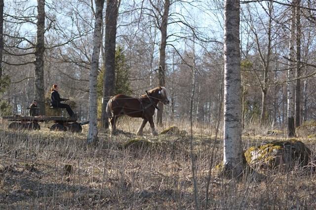 Pokal gör sitt bruksprov