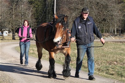 Alf och Jenny t&ouml;mk&ouml;r Mindy f&ouml;r f&ouml;rsta g&aring;ngen