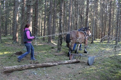 Jenny t&ouml;mk&ouml;r Mindy f&ouml;r f&ouml;rsta g&aring;ngen