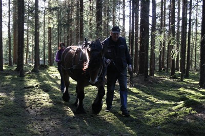 Alf, Jenny och Mindy