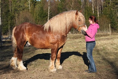 Jenny och Julius