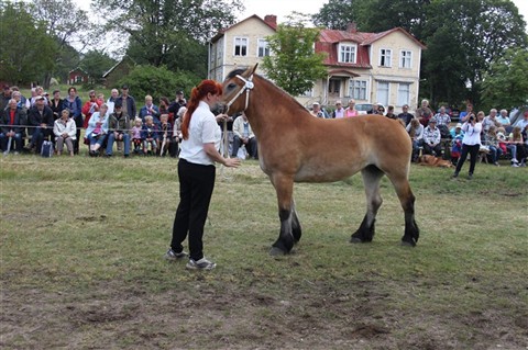 Majken e.Bin&ouml;r
