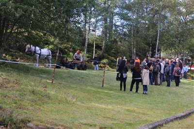 SM skogsk&ouml;rning