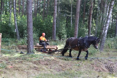 SM skogsk&ouml;rning