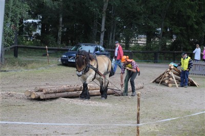 SM skogsk&ouml;rning