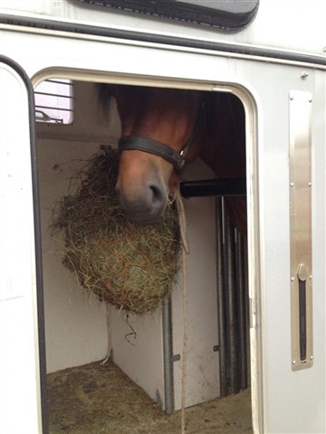 Stadig redo att åka hem