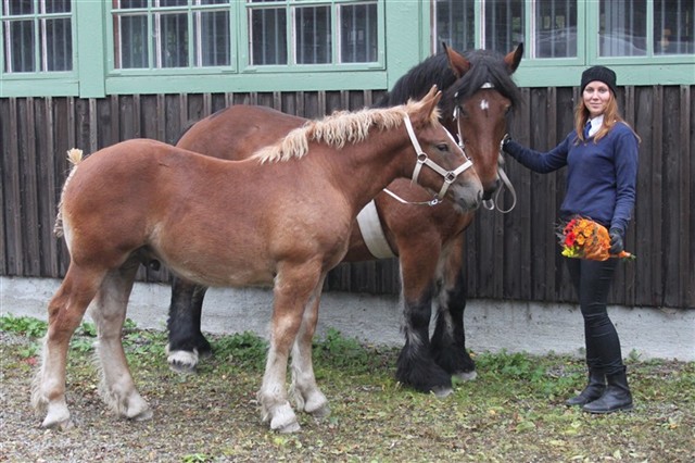 Pondus blev Best In Show p&aring; f&ouml;lm&ouml;nstringen 2013