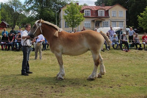 Lidsj&ouml;s Everlina