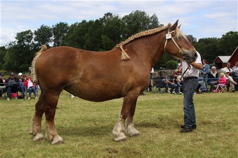 Ram&aring;na