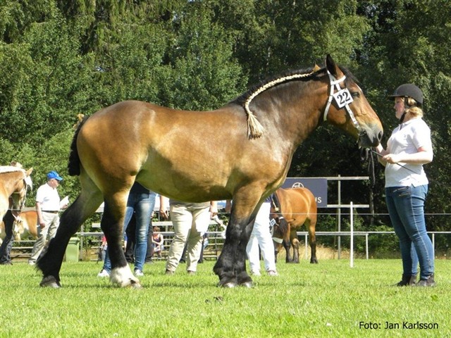 Almina