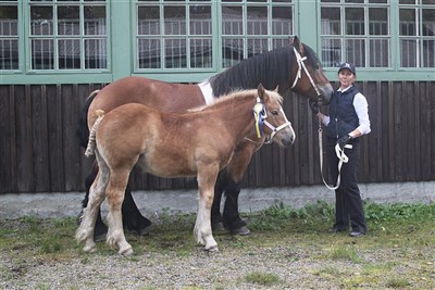 Mysan och Mary