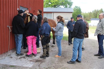 Flätningskurs