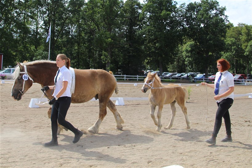 Mejram och Minttu