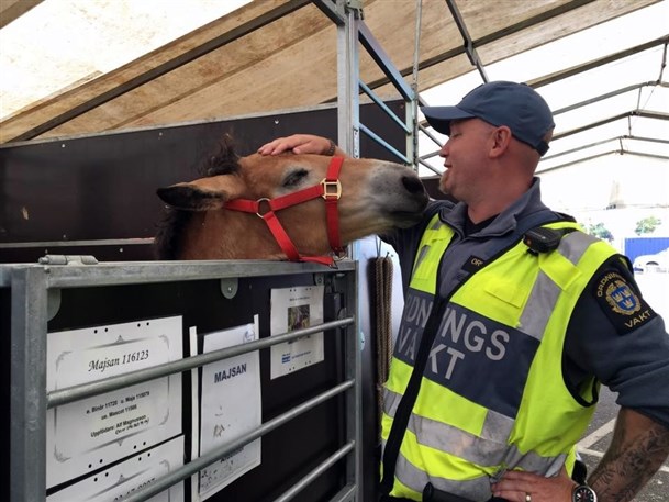 Öppet stall på Heden