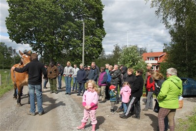 Många ville lära sig mer om exteriörbedömning