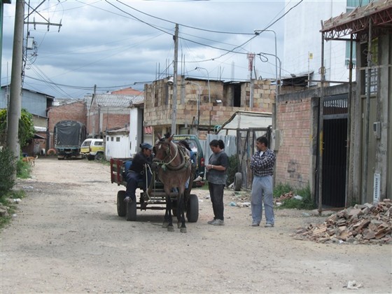 I Colombia är hästen fortfarande ett viktigt hjälpmedel