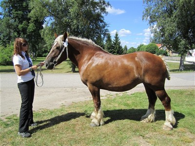 Jenny och Mynta p&aring; sommarpremieringen i Hamneda 2010