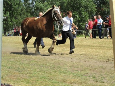 Mynta visar upp sin fina trav