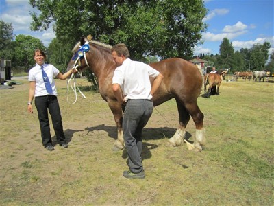 Anton Kraft, Jenny och Mynta p&aring; sommarpremieringen i Hamneda 2010