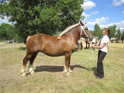 Mynta p&aring; sommarpremieringen i Hamneda 2010