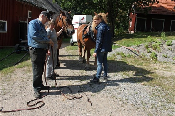 Kenneth Kullberg f&ouml;rklarar hur en korst&ouml;m fungerar