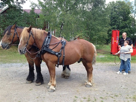 Till och med fru Magnusson testade p&aring; att t&ouml;mk&ouml;ra par