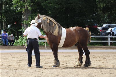 Rutger