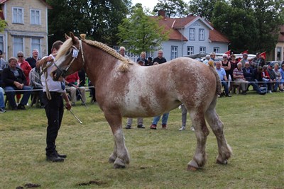 L&auml;rka