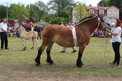 Mar&auml;ng