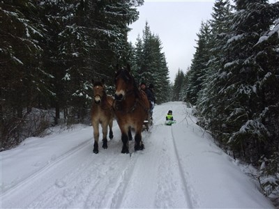 Sl&auml;dtur