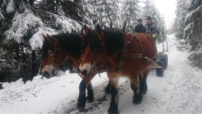 Majsan och Mysan i par