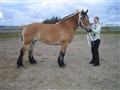 Bilder 099.JPG