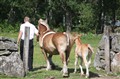 Maja och Millie Tingsryd4.JPG